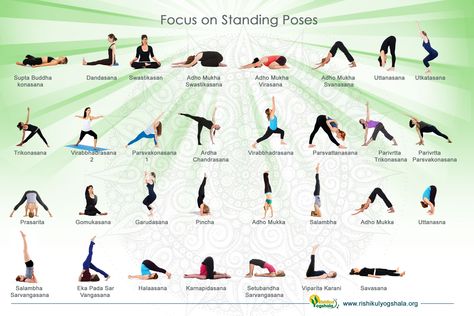 Standing Yoga Poses with Names Yoga Asanas Names, Yoga Moves For Beginners, Essential Yoga Poses, Pose Sitting, Standing Yoga Poses, All Yoga Poses, Popular Yoga Poses, Standing Yoga, Beginner Poses