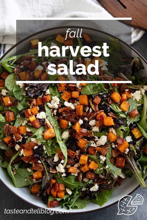 Filled with the flavors of fall, this Fall Harvest Salad is the perfect side dish for holidays or as a part of any dinner. Made with butternut squash, bacon, pecans, and dried cranberries, this is a salad you will want to make over and over again. Seasonal Salads Fall, Harvest Fall Salad, Fall Salad Recipes, Harvest Salad Recipes, Salad With Butternut Squash, Butternut Squash Bacon, Fall Harvest Salad, Fall Salads, Autumn Salad Recipes