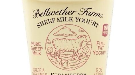 Yogurt Strawberry, Sheep Milk, Sonoma County California, Yogurt Milk, Full Fat Yogurt, Cow Milk, Farm Food, Sheep Farm, American Cheese