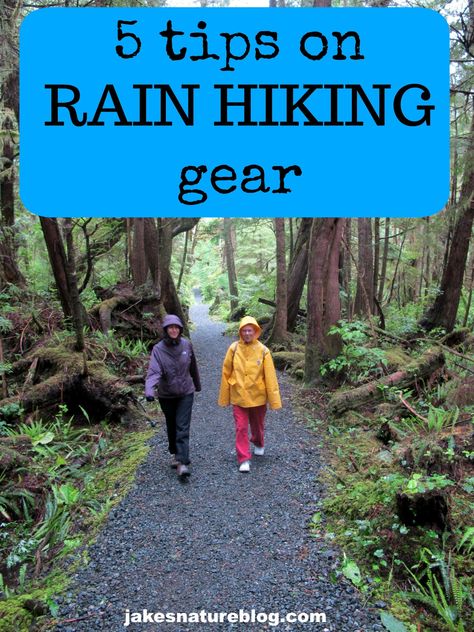 I'd rather be hiking in the rain than sitting inside.  These are good tips to make hiking in the rain possible.  #hikingintherain #hikingtips Hiking In The Rain, Camping In The Rain, About Rain, Best Hiking Shoes, Hiking With Kids, Rain Gear, Winter Hiking, Hiking Tips, Take A Hike