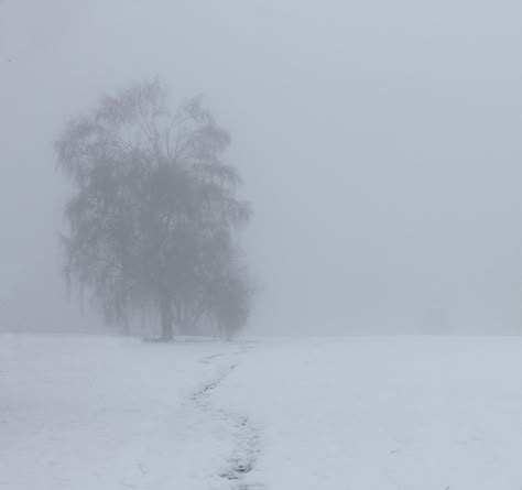 https://flic.kr/p/BkAuYb | Winter blues | Dark and foggy winter day Foggy Winter, Gloomy Winter, Vampire Pictures, Snow Aesthetic, Nostalgia Aesthetic, Weather Seasons, Angel Aesthetic, Winter Love, A Series Of Unfortunate Events