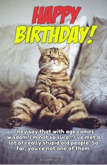 Funny Birthday Wishes - Funny Birthday Messages | Funny birthday message, Happy birthday funny, Birthday wishes funny Birthday Funny Pictures, Happy Birthday Sister Funny, Funny Birthday Pictures, Funny Birthday Message, Funny Birthday Wishes, Funny Happy Birthday Images, Funny Happy Birthday Pictures, Happy Birthday For Him, Happy Birthday Cat