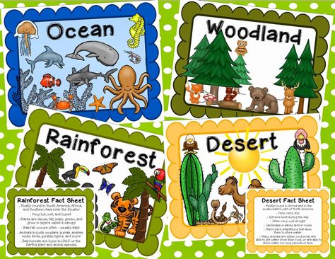 Animal Habitats Preschool Free Printable, Animal Habitat Project, Habitat Poster, Types Of Habitats, Animal Classification Worksheet, Science Corner, Rainforest Facts, Animals Habitat, Habitat Project