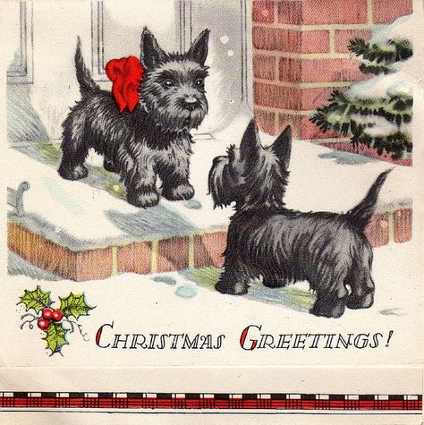 Scotties! vintage Christmas card Images Noêl Vintages, Scottie Terrier, Newlywed Christmas, Scottish Terriers, Vintage Xmas, Vintage Christmas Images, Old Christmas, Images Vintage, Old Fashioned Christmas