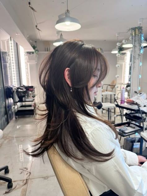 Blunt & Beautiful: Unveiling the Korean Hush Haircut Craze - Corte de pelo coreano Hush Hush Cut Hair Long, Korean Hush Haircut, Hush Cut Hair Medium, Korean Hush Cut, Hush Haircut, Korean Haircuts, Short Hair Back View, Hush Cut, Middle Hair