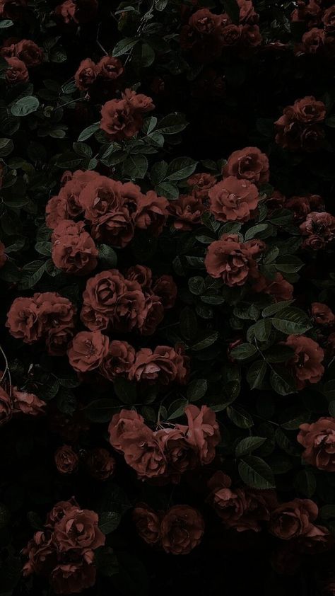 Lock Screen Wallpaper Iphone Aesthetic, Lock Screen Wallpaper Vintage, Dark Lock Screen Wallpaper, Lock Screen Wallpaper Funny, Dark Lock Screen, Screen Wallpaper Quotes, Lock Screen Wallpaper Quotes, Aesthetic Lock Screen Wallpaper, Lock Screen Wallpaper Iphone