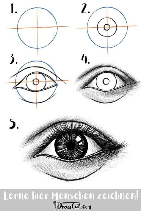 Bill Drawing, Eye Sketches, Draw An Eye, Portrait Drawing Tips, Face Art Drawing, Face Structure, Realistic Eye Drawing, Eye Drawing Tutorials, Draw Eyes