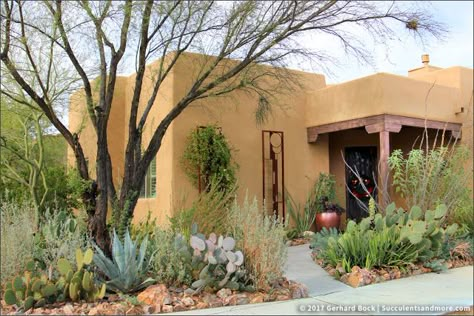 Arizona Gardening, Southern Arizona, Landscape Maintenance, Adobe House, Spanish Style Homes, Desert Garden, Desert Homes, Water Wise, Creative Gardening