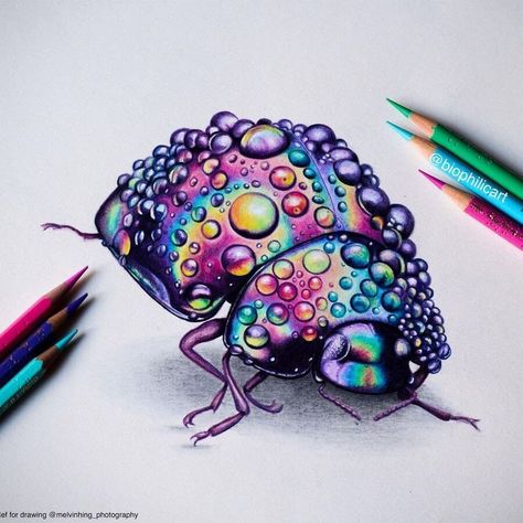 Rain drops Rainbow beetle by Sallyann Colored Pencil Artwork Ideas, Pencil Inspiration, Art Coquillage, Prismacolor Art, Pencil Drawings Of Animals, Colored Pencil Artwork, Colored Pencil Techniques, Arte Sketchbook, Art Drawings Sketches Creative