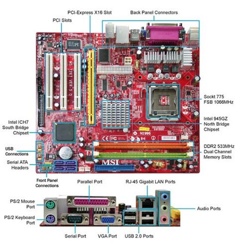 The MOTHERBOARD is the main circuit board of the system unit. Build Your Own Computer, Computer Diy, About Computer, Computer Learning, Computer Projects, Computer Humor, Computer Build, Computer Help, Electronics Basics