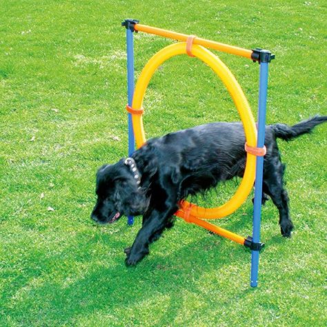 Amazon.com : PAWISE Pet Dogs Outdoor Games Agility Exercise Training Equipment Jumping Ring : PAWISE : Pet Supplies Dog Play Yard, Cool Dog Toys, Dogs Tricks, Dog Goals, Indestructible Dog Toys, Dog Agility Training, Outdoor Dog Toys, Dog Training Tools, Dog Training Equipment