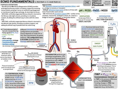 (7) Nick Mark MD (@nickmmark) / Twitter Ccrn Study Plan, Cardiac Sonography, Cardiogenic Shock, Intracranial Pressure, Nursing 101, Medical Mnemonics, Wooden Moon, Medical Notes, Mcat Study