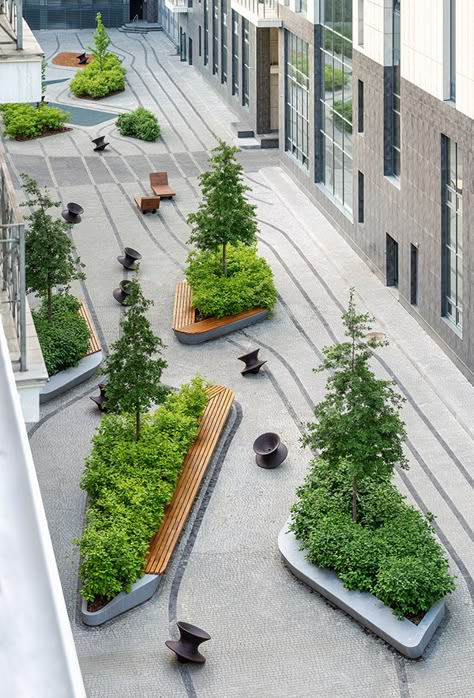 Landscape Plaza, Campus Landscape, Landscape Urban Design, Streetscape Design, Plaza Design, Courtyard Landscaping, Commercial Landscape, Pocket Park, Urban Landscape Design