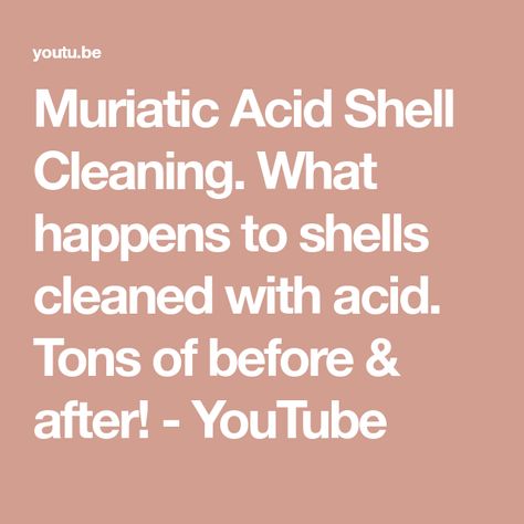 Muriatic Acid Shell Cleaning. What happens to shells cleaned with acid. Tons of before & after! - YouTube Cleaning Shells, Shell Cleaning, Cleaning Sea Shells, Muriatic Acid, Shell Crafts, Sea Shells, Shells, The Creator, Water