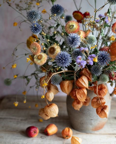 Dried flowers and drying flowers 🍂 it’s been a beautiful week of sunshine perfect for collecting seeds and drying flowers. Have a lovely weekend everyone. I plan to give my garden some much needed attention and will those dahlias to keep on keeping on ✨ Fall Sentiments, Drying Flowers, Wooly Jumper, Thanksgiving 2024, Have A Lovely Weekend, Dry Flowers, Much Needed, My Garden, Keep On