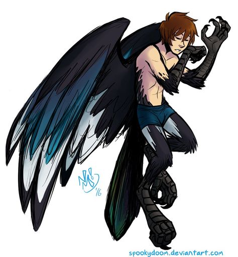 Harpie Oc, Avian Character Art, Harpy Male Character Art, Harpy Oc Art, Bird Human, Bat Winged People, Male Harpy, Harpie Character Design, Bird Person