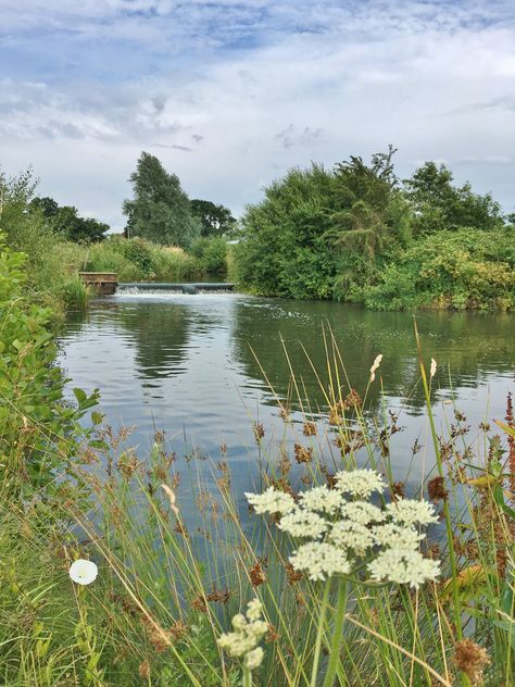 The club has exclusive access to three miles of double-bank fishing on the River Rother. There are several beats, each with parking and easy access to the river. Check the River Level before you l… Foto Art, Alam Yang Indah, Nature Aesthetic, Pretty Places, Green Aesthetic, The Club, Landscape Photos, Mother Earth, The River