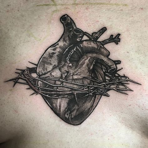 Tattoo uploaded by Anatta Vela • Anatomical heart tattoo by Lil Jeon #LilJeon #blackandgrey #realism #heart #anatomicalheart #thorns #chest Chest Tattoo Realism, Thorn Tattoo, Anatomical Heart Tattoo, Book Tattoo, Anatomical Heart, Abstract Tattoo, True Art, Chest Tattoo, Art Ink