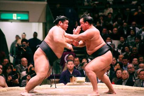 Watch a sumo wrestling match in Japan Japan Sumo Wrestling, Sumo Wrestling Japan, Sports Reference, Wrestling Games, Anatomy Studies, Heptathlon, Sumo Wrestler, Olympic Swimmers, Anatomy Study