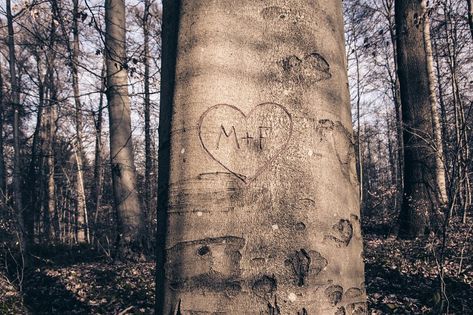 Initials Carved In Tree, Tree Carving Initials, Romantic Messages, Tree Carving, Engagement Pics, M F, Engagement Pictures, Bird Art, A Tree