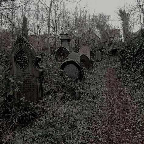 Grave Aestethic, Undertaker Aesthetic, Graveyard Aesthetic, Paradis Sombre, Old Cemeteries, Cemetery Art, Southern Gothic, Gothic Aesthetic, Goth Aesthetic