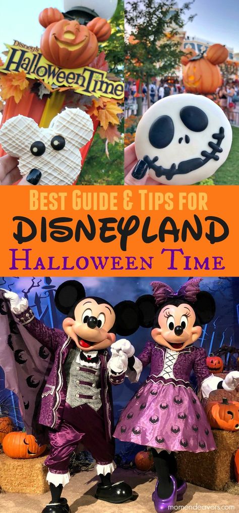 Halloween At Disneyland, Halloween Time At Disneyland, Disney Surprise, Mickey Halloween Party, Disneyland Secrets, Halloween Party Decor Diy, Disney Board, California Trip, Disneyland Halloween