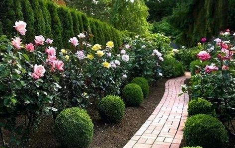 40 Amazing Rose Garden Ideas For Your Backyard | Decor Home Ideas Rose Garden Ideas, Rose Garden Landscape, Country Garden Design, Formal Garden Design, Rose Garden Design, Cottage Rose, Rose Gardens, Garden Pathway, Front Yard Garden