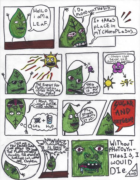 Comic Strip About Photosynthesis, Photosynthesis Comic Strip Ideas, Photosynthesis Comic Strip, Easy Comic Strip Ideas, Photosynthesis Drawing, Comic Strip Project, Easy Comics Strips, Photosynthesis Projects, Comic Strip Ideas