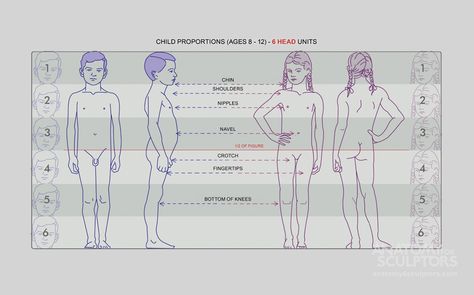 Anatomy Proportions, Anatomy For Sculptors, Human Proportions, Anatomy Male, Illustration Reference, Character Turnaround, Man Anatomy, Anatomy Poses, Anatomy For Artists