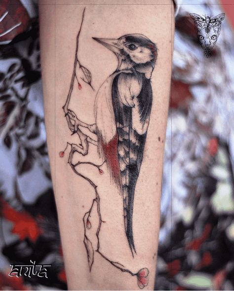 Woodpecker Tattoo Design Images (Woodpecker Ink Design Ideas) Woodpecker Tattoo Design, Downy Woodpecker Tattoo, Small Woodpecker Tattoo, Pileated Woodpecker Tattoo, Woodpecker Tattoo, Ivory Billed Woodpecker Tattoo, Still Life With Woodpecker Tattoo, Red Headed Woodpecker Tattoo, Neo Traditional Woodpecker Tattoo