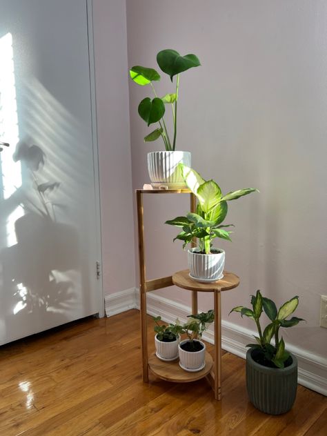 Plant Shelf Balcony, Aesthetic Plant Pots, Plant Organization Indoor, Soft Autumn Color Palette, Autumn Color Palette, Cute Living Room, Plant Corner, Cosy Room, Apartment Aesthetic