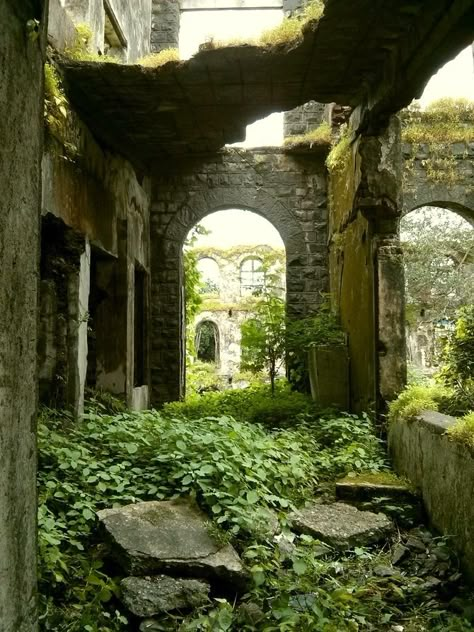 Abandoned Buildings Photography, Nature Taking Over, Underground Ruins, Overgrown Castle, Ruins Aesthetic, Overgrown Ruins, Ruins Photography, Building Ruins, Ruined Buildings