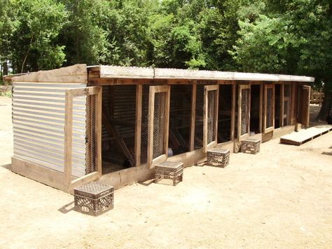 breeding pens Poultry Breeding Pens, Landscaping Colorado, Chicken Breeding, Cheap Landscaping, Quail Coop, Chicken Coop Pallets, Electric Panel, Portable Chicken Coop, Chicken Pen