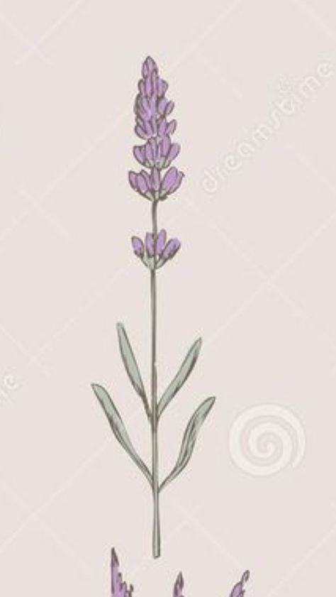 Russian Sage Tattoo, Sage Tattoo, Russian Sage, Lavender, Home Decor Decals, Tattoos, Flowers, Quick Saves