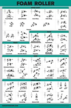 Amazon.com.au: workout posters Stretch Lab, Build Arm Muscle, Exercise Poster, Roller Exercises, Yoga Roller, Wods Crossfit, Belly Busters, Dynamic Yoga, Foam Roll