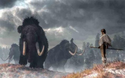 Could the Mount Holly mammoth analysis mean that humans and woolly mammoths coexisted in the Northeastern United States? (Daniel / Adobe Stock) Prehistoric Man, Prehistoric World, Early Humans, Ancient Animals, Wooly Mammoth, Prehistoric Art, Extinct Animals, Prehistoric Creatures, Ice Age