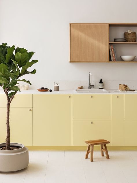 Colorful kitchens for an interior that lets your personality speak Plum Kitchen, Yellow Kitchen Cabinets, Plum Living, Ikea Kitchen Planner, Kitchen Planner, Studio Kitchen, Yellow Kitchen, Simple Kitchen, Kitchen Inspiration Design