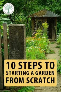 Garden From Scratch, Micro Garden, Garden Plots, Garden Planner, Starting A Garden, Organic Gardening Tips, Grow Your Own Food, Plant Growth, Gardening For Beginners