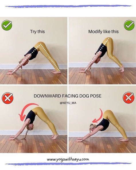 Yoga Dog Pose, Adho Mukha Svanasana, Downward Dog Pose, Yoga Tutorial, Downward Facing Dog, Dog Poses, Dog Yoga, Downward Dog, Flexibility Workout