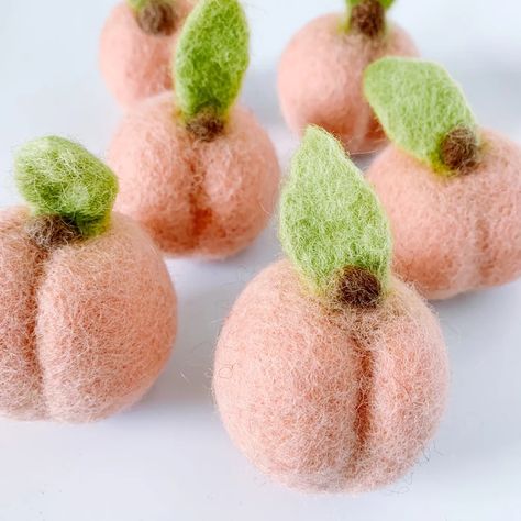 Food Sensory Play, Garland Party Decor, Toy Fort, Peach Baby Shower, Felted Bowls, Fruit Fresh, Needle Felting Diy, Felt Play Food, Fruit Party