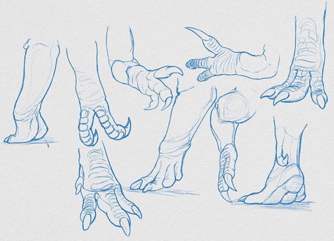 Hands and feet. #dinosaur #sketch #drawing Dinosaur Legs Drawing, Dinosaur Feet Drawing, Theropod Anatomy, Dinosaur Anatomy, Dinosaur Reference, Silent Hill Art, Feet Drawing, Dinosaur Sketch, Cat Anatomy