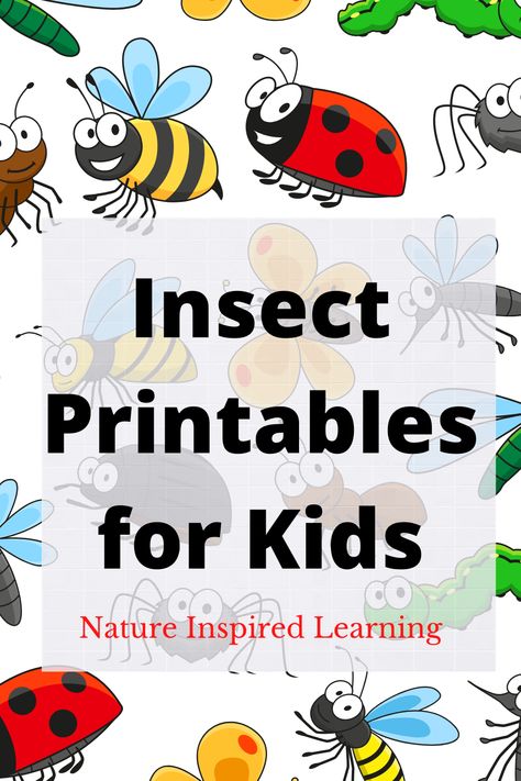 Learn about the world of bugs and insects with these free insect printables. Coloring pages, insect scavenger hunts, and templates for crafts! Preschool Bug Crafts, Insect Printables, Preschool Insects Activities, Preschool Bug Theme, Bug Enthusiast, Insects For Kids, Insects Kindergarten, Creative Curriculum Preschool, Origami Paper Flowers