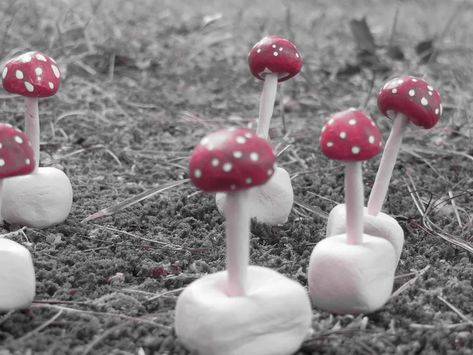 Clay Mushroom, Mini Clay, Pencil Painting, Stuffed Mushroom Caps, White Acrylic Paint, Younger Sister, Red Paint, Dry Clay, I Will Show You