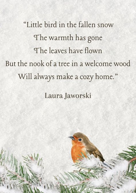 Little Bird by Laura Jaworski (@bugburrypond) ❄️ Bird Poetry Quotes, Bird Watching Quotes, Bird Poetry, Pretty Bird Poem, Poetry About Snow, Laura Jaworski, Dog Poetry, Dreamy Quotes, Poetic Quotes