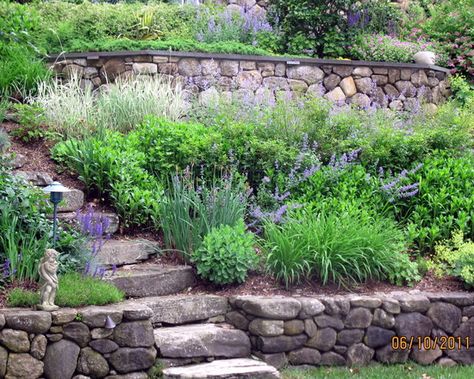 Traditional Residential Steep Slope Landscaping Design, Pictures, Remodel, Decor and Ideas - page 3 Steep Gardens, Stone Walls Garden, Terraced Landscaping, Landscaping A Slope, Landscaping On A Hill, Hillside Garden, Sloped Backyard, Stone Steps, Hillside Landscaping