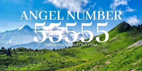 Numerology Numbers, Life Path Number, Angel Number Meanings, Number Meanings, Inner Self, Angel Number, Angel Numbers, The Angel, Twin Flame