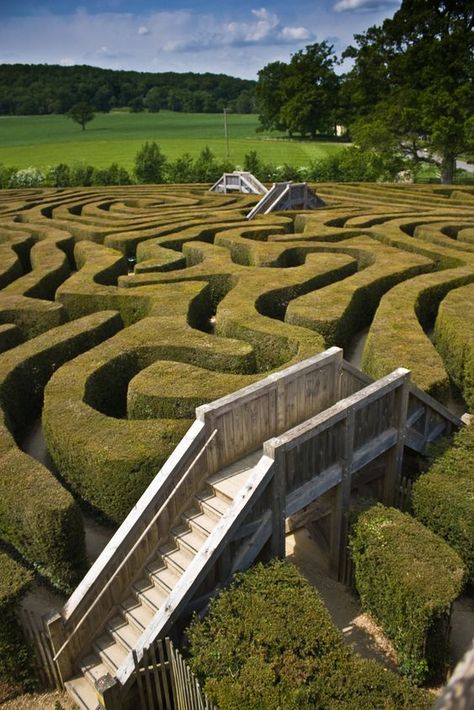 Hedge Maze Aesthetic Dark, Labyrinth Garden Design, Backyard Maze, Garden Mazes, Longleat House, Maze Garden, Amazing Maze, Garden Maze, Hedge Maze