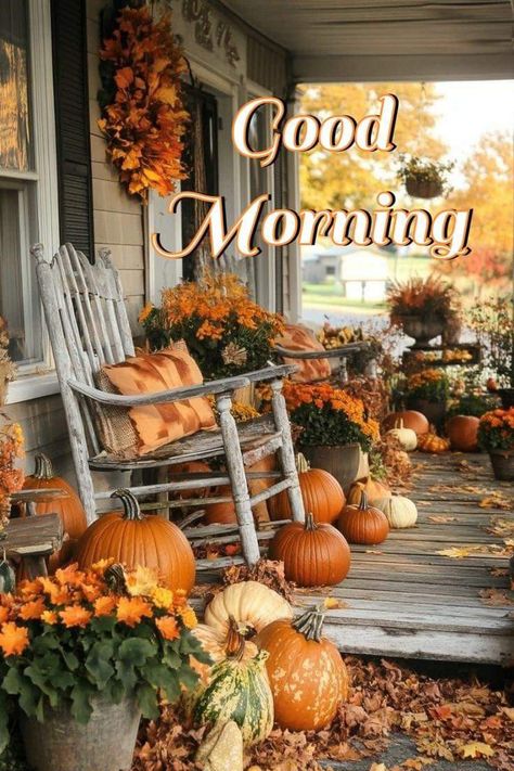 Fall Good Morning, Good Morning Fall Images, Good Morning Animals, Morning Gifs, Faith Board, Good Night I Love You, Flowers Quotes, Good Morning Inspiration, Fall Images