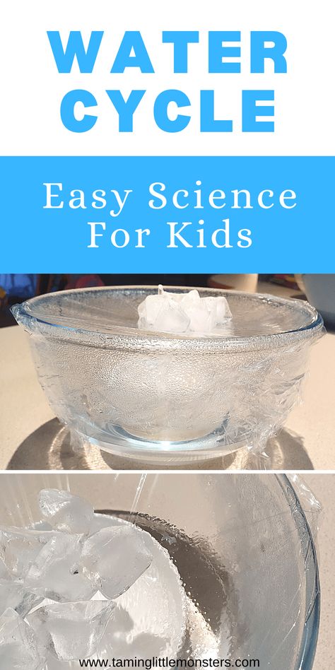 Homeschool Water Cycle, Stem Water Cycle Activities, Condensation Experiment For Kids, Evaporation Experiment For Kids, Ocean Stem Activities For Kids, Water Cycle Preschool Activities, Watercycle Kids Project, Science Projects For Kindergarteners, Precipitation Activities