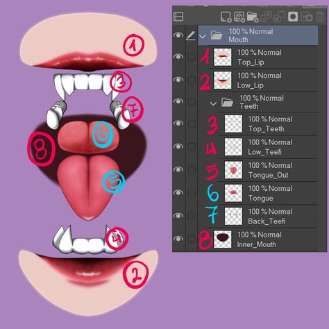 Vtuber mouth -divided into layers - CLIP STUDIO ASSETS Live2d Mouth Chart, Vtuber Model Mouth, Make Vtuber Model, Vtuber Model Layers, Chibi Vtuber Base, Vtuber Eye Layers, Vtuber Model Tutorial, Vtuber Mouth Reference, Vtuber Mouth Layers